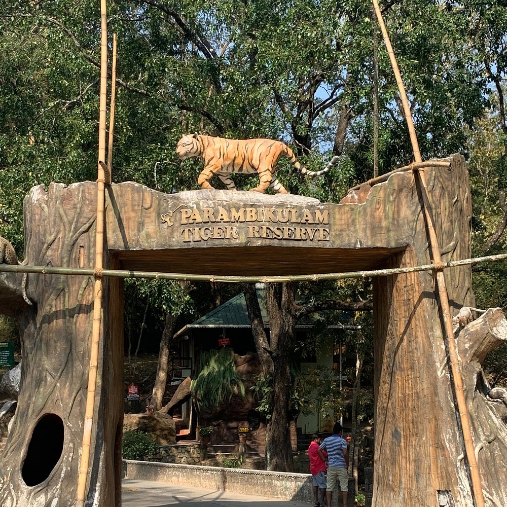 Topslip Wildlife Weekend